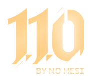 110-logo